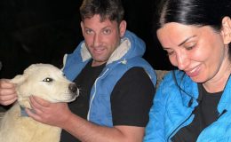 Aykut ve Melike Saban’dan sokak köpeklerine yönelik şiddete tepki