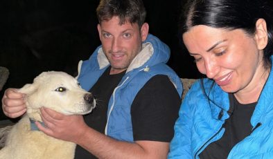 Aykut ve Melike Saban’dan sokak köpeklerine yönelik şiddete tepki